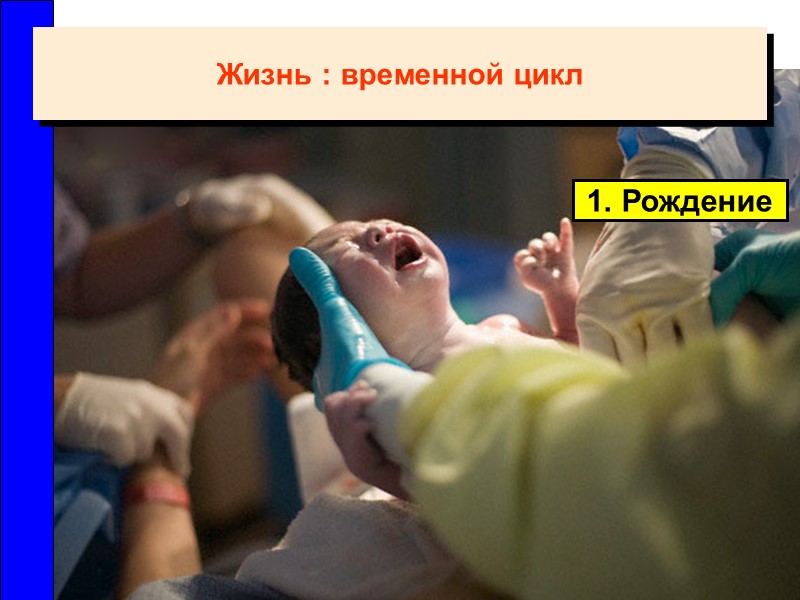 1. Рождение Жизнь : временной цикл